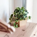 Minerva - By Myhomeincomo Apartment Como